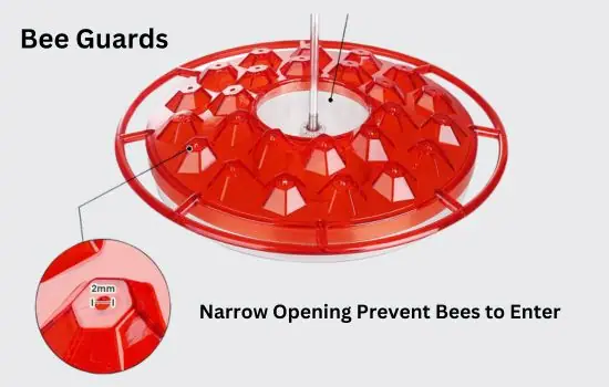 Bee Guards on Hummingbird Feeder Preventing Bees to Enter
