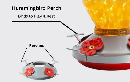 Perches on Hummingbird Feeders for Birds to Play & Rest